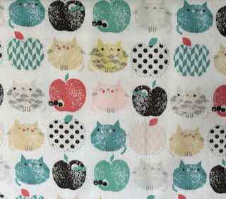 Dashwood Apple Cats